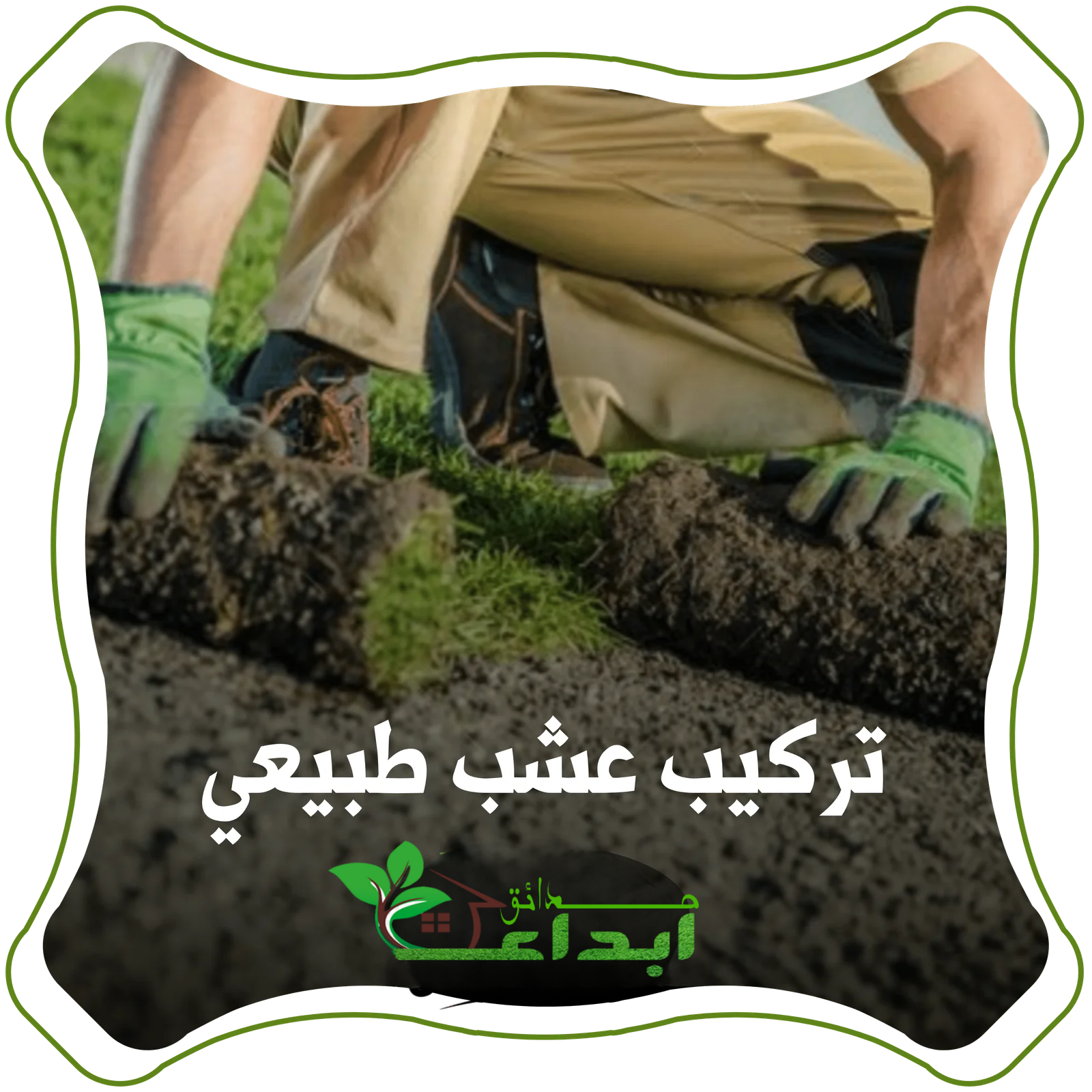 زراعة العشب الطبيعي