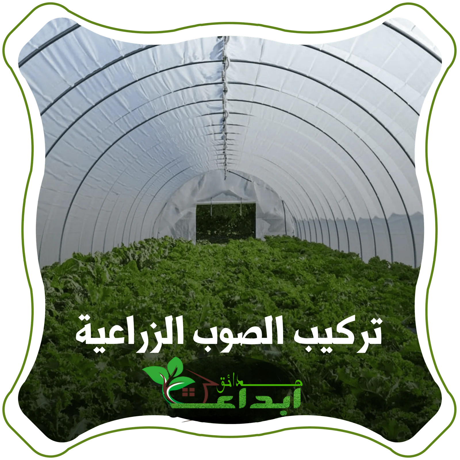 تركيب صوب زراعية في السعودية